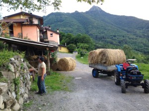 Al-Marnich - L'Attività Agrituristica
