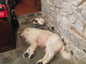 Al-Marnich - Relax per Tutti