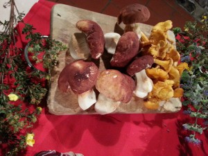 Il Ristorante - Funghi di Stagione