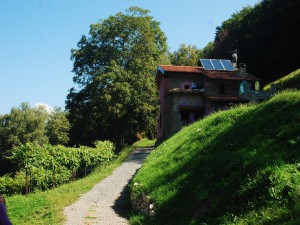 L'Agriturismo - Panoramica Estiva Terzo Casale