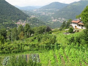 L'Agriturismo - Panoramica Generale Primo Casale