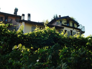 Panoramica dal Parco