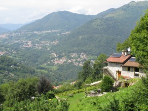 Panoramica Generale dall'Alto