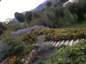 L'Agriturismo - Scalinata Fiorita Ingresso Principale
