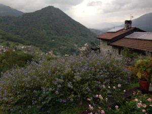 L'Agriturismo - Scorcio Fiorito Casale Principale