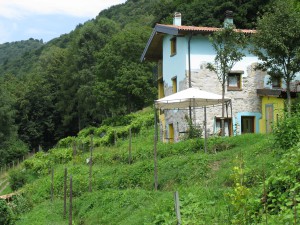 L'Agriturismo - Vista Retro Secondo Casale