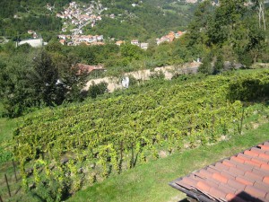 Panorama Al-Marnich - Vista da Camera