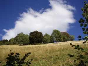 Panorma Dintorni - Vista Mozzafiato