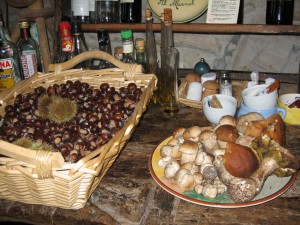 Prodotti Agricoli - Autunno