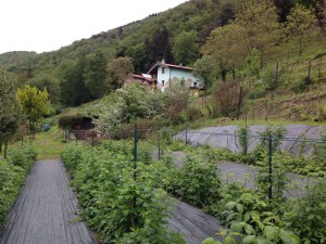 Vista Al-Marnich - Panoramica dal Giardino