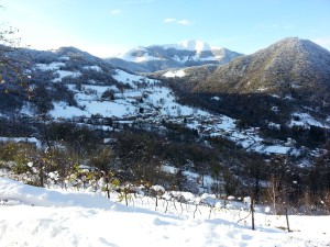 Vista Al-Marnich - Vigneto e Montagne Innevate