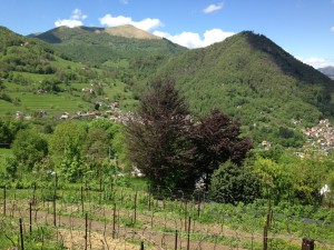 Vista Al-Marnich - Visuale Vigna e Valle d'Intelvi