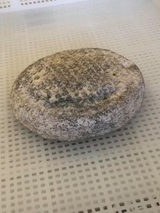 Caciottina Morbida di Latte Vaccino