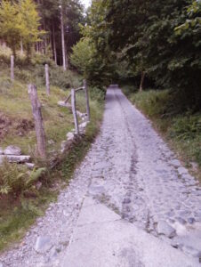 Al-Marnich (Agriturismo Como): sentieri montani - Trekking Valle d'Intelvi