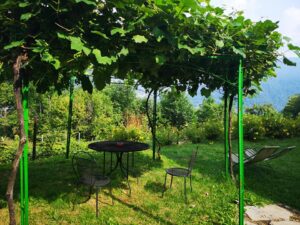 Camera 12 - Gazzebo Panoramico Estate