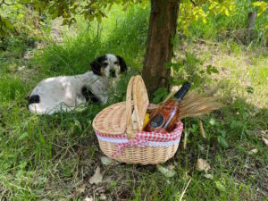 Agriturismo Al-Marnich: PET Friendly