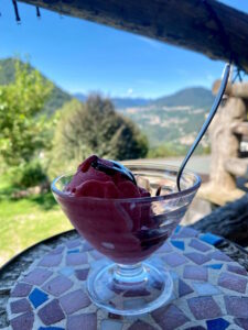 Agriturismo Al-Marnich: Gelato Artigianale ai Lamponi BIO