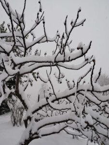 Agriturismo Sostenibile Como: I Cicli dell'Inverno