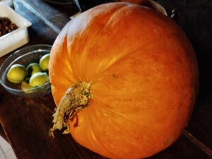 Agriturismo Al-Marnich: sostenibile e biologico - Raccolta Zucche in Autunno
