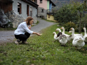 Agriturismo Al-Marnich - Allevamento Sostenibile