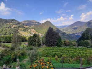 Agriturismo Al-Marnich (Agriturismo Como): Panorama Estivo