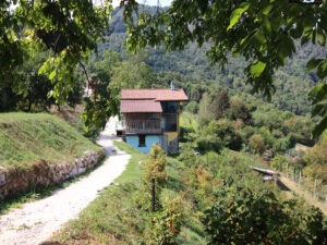 Agriturismo Al-Marnich: Scorcio Proprietà Estesa