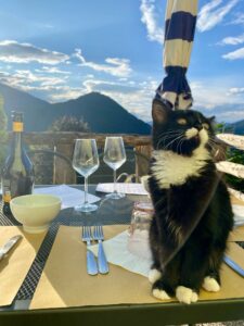 Al-Marnich - PETS Allowes (Animali Domestici Ammessi con Extra)